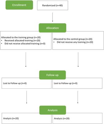 Verbal Training Induces Enhanced Functional Connectivity in Japanese Healthy Elderly Population